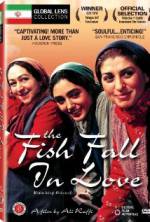 Watch The Fish Fall in Love Vidbull