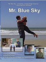 Watch Mr. Blue Sky Vidbull