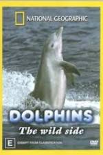 Watch Dolphins: The Wild Side Vidbull