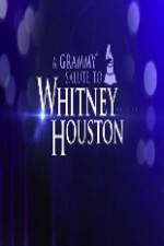 Watch We Will Always Love You A Grammy Salute to Whitney Houston Vidbull
