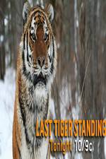 Watch Discovery Channel-Last Tiger Standing Vidbull