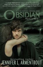 Watch Obsidian Vidbull