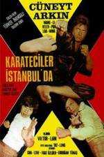 Watch Karate on the Bosphorus Vidbull
