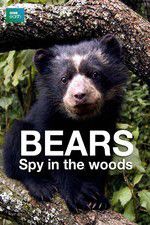 Watch Bears: Spy in the Woods Vidbull