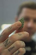 Watch Professor Green: Is It Time to Legalise Weed? Vidbull