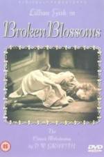 Watch Broken Blossoms or The Yellow Man and the Girl Vidbull