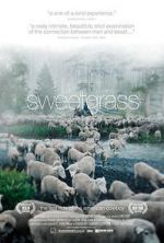 Watch Sweetgrass Vidbull