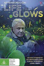 Watch Attenborough\'s Life That Glows Vidbull