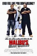 Watch Malibu's Most Wanted Vidbull