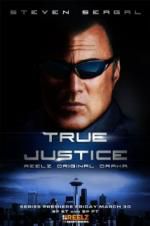 Watch True Justice: Brotherhood Vidbull