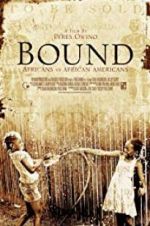Watch Bound: Africans versus African Americans Vidbull