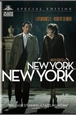 Watch New York New York Vidbull