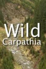 Watch Wild Carpathia Vidbull