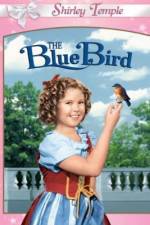 Watch The Blue Bird Vidbull