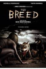 Watch The Breed Vidbull
