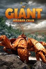 Watch The Giant Robber Crab Vidbull