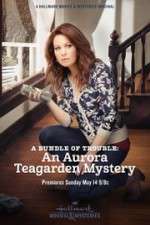 Watch A Bundle of Trouble: An Aurora Teagarden Mystery Vidbull