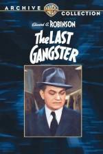 Watch The Last Gangster Vidbull