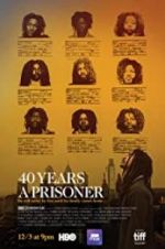 Watch 40 Years a Prisoner Vidbull