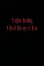 Watch Stephen Hawking A Brief History of Mine Vidbull