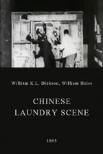 Watch Chinese Laundry Scene Vidbull