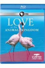 Watch Nature: Love in the Animal Kingdom Vidbull