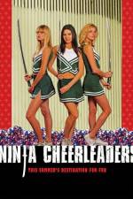 Watch Ninja Cheerleaders Vidbull