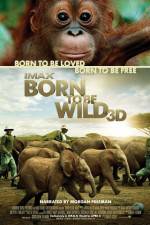 Watch Born to Be Wild Vidbull