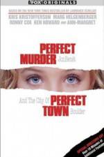 Watch Perfect Murder Perfect Town JonBenet and the City of Boulder Vidbull