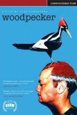 Watch Woodpecker Vidbull