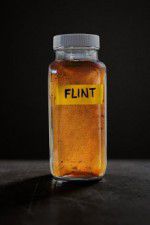 Watch Flint Vidbull