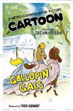 Watch Gallopin\' Gals Vidbull