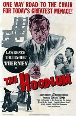Watch The Hoodlum Vidbull