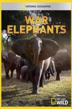 Watch War Elephants Vidbull