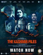 Watch The Kashmir Files Vidbull