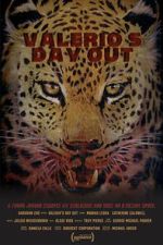 Watch Valerio\'s Day Out (Short 2019) Vidbull