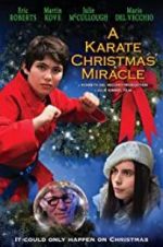 Watch A Karate Christmas Miracle Vidbull