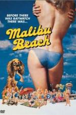 Watch Malibu Beach Vidbull