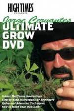 Watch High Times: Jorge Cervantes Ultimate Grow Vidbull
