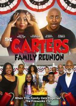 Watch Carter Family Reunion Vidbull