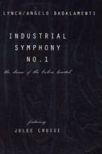Watch Industrial Symphony No 1 The Dream of the Brokenhearted Vidbull