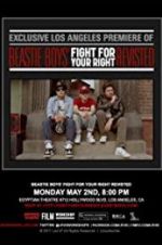 Watch Beastie Boys: Fight for Your Right Revisited Vidbull