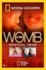 Watch National Geographic: In the Womb - Identical Twins Vidbull