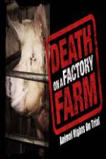 Watch Death on a Factory Farm Vidbull