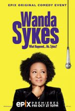 Watch Wanda Sykes: What Happened... Ms. Sykes? Vidbull