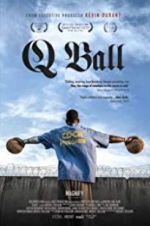Watch Q Ball Vidbull