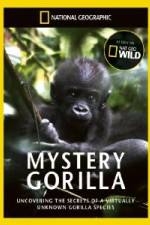 Watch National Geographic Mystery Gorilla Vidbull