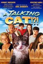 Watch A Talking Cat!?! Vidbull