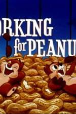 Watch Working For Peanuts Vidbull