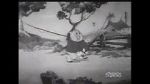 Watch Fish Tales (Short 1936) Vidbull